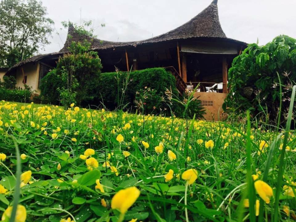 Mari Pai Resort Exterior photo